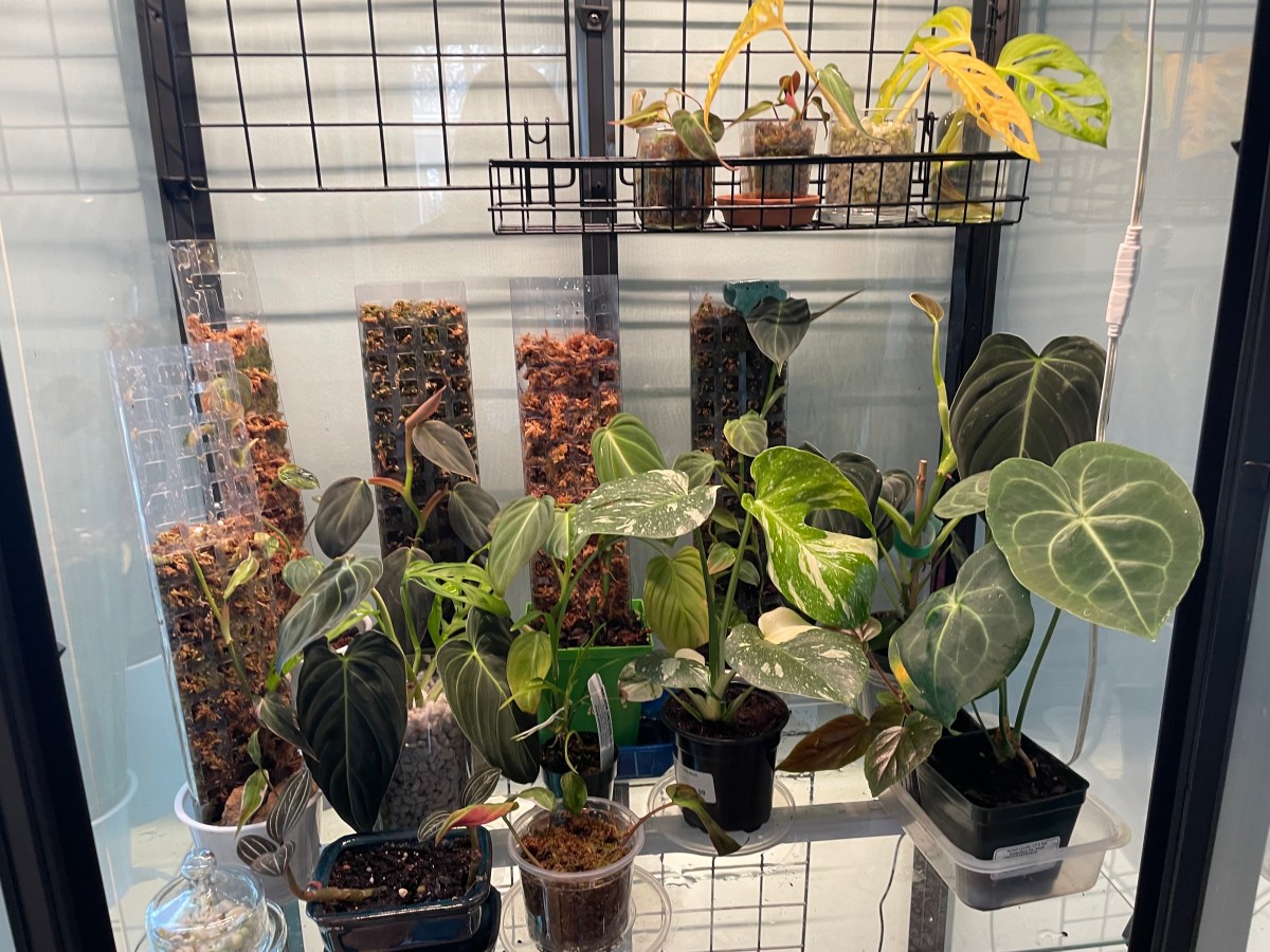 Building an Ikea Greenhouse Cabinet-free&nbsp;printable!